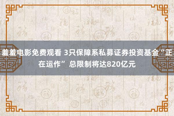 羞羞电影免费观看 3只保障系私募证券投资基金“正在运作” 总限制将达820亿元